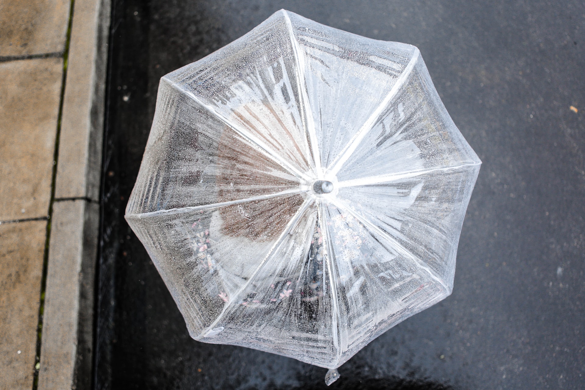 Transparanta paraplyer | Perfekt regnskydd för hela familjen
